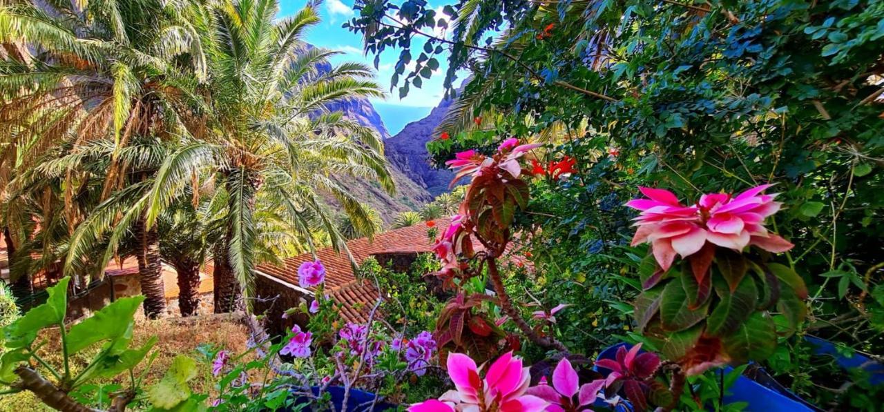 Ocean View Tenerife San Miguel de Abona Extérieur photo